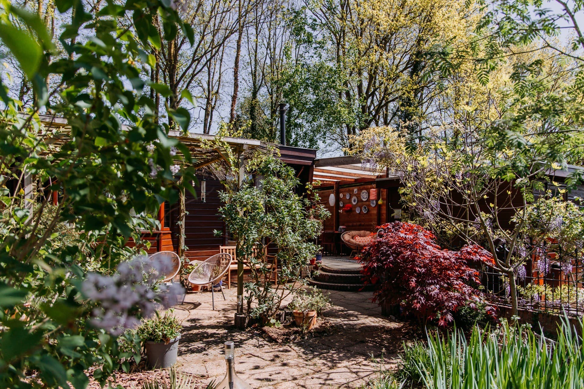 Zonnig terras en tuinhuis in de tuin van Chalet Lila
