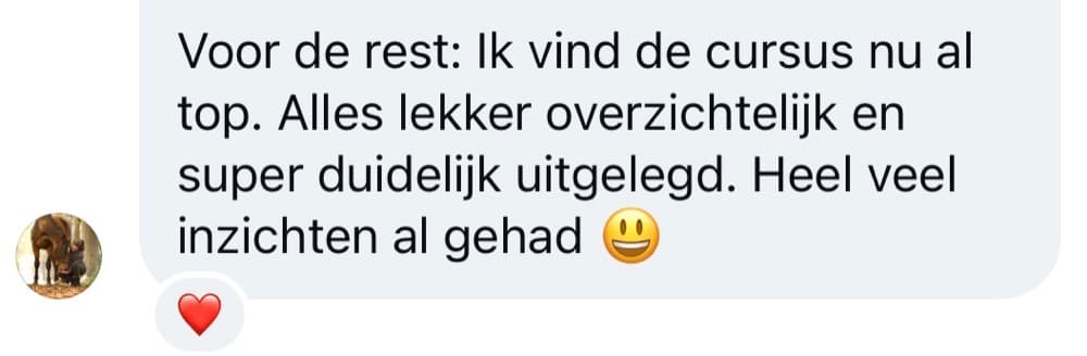 Schermafbeelding van een review van een cursist – review15